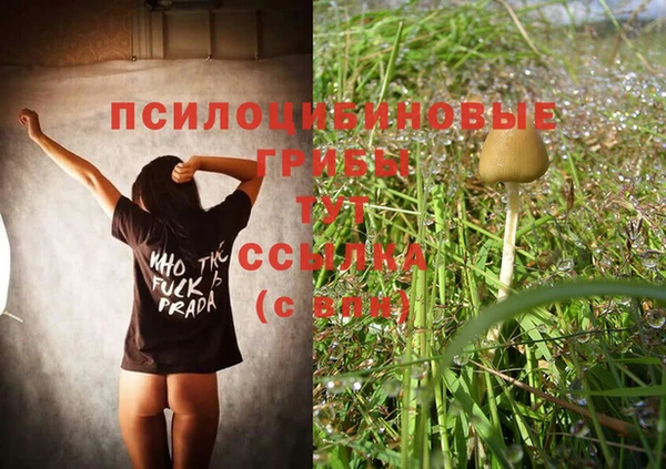 apvp Баксан
