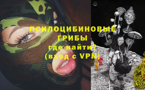 apvp Баксан